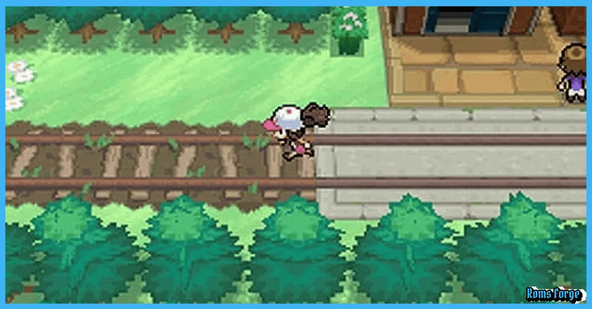 Pokemon Black NDS ROM