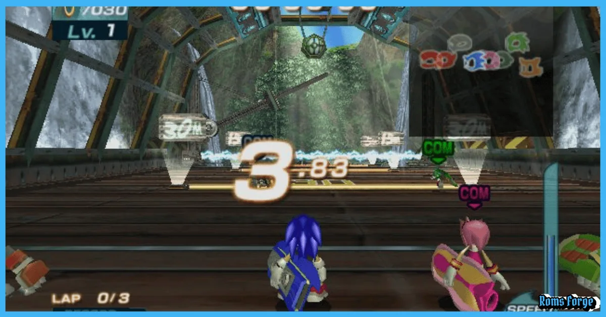 Sonic Riders
